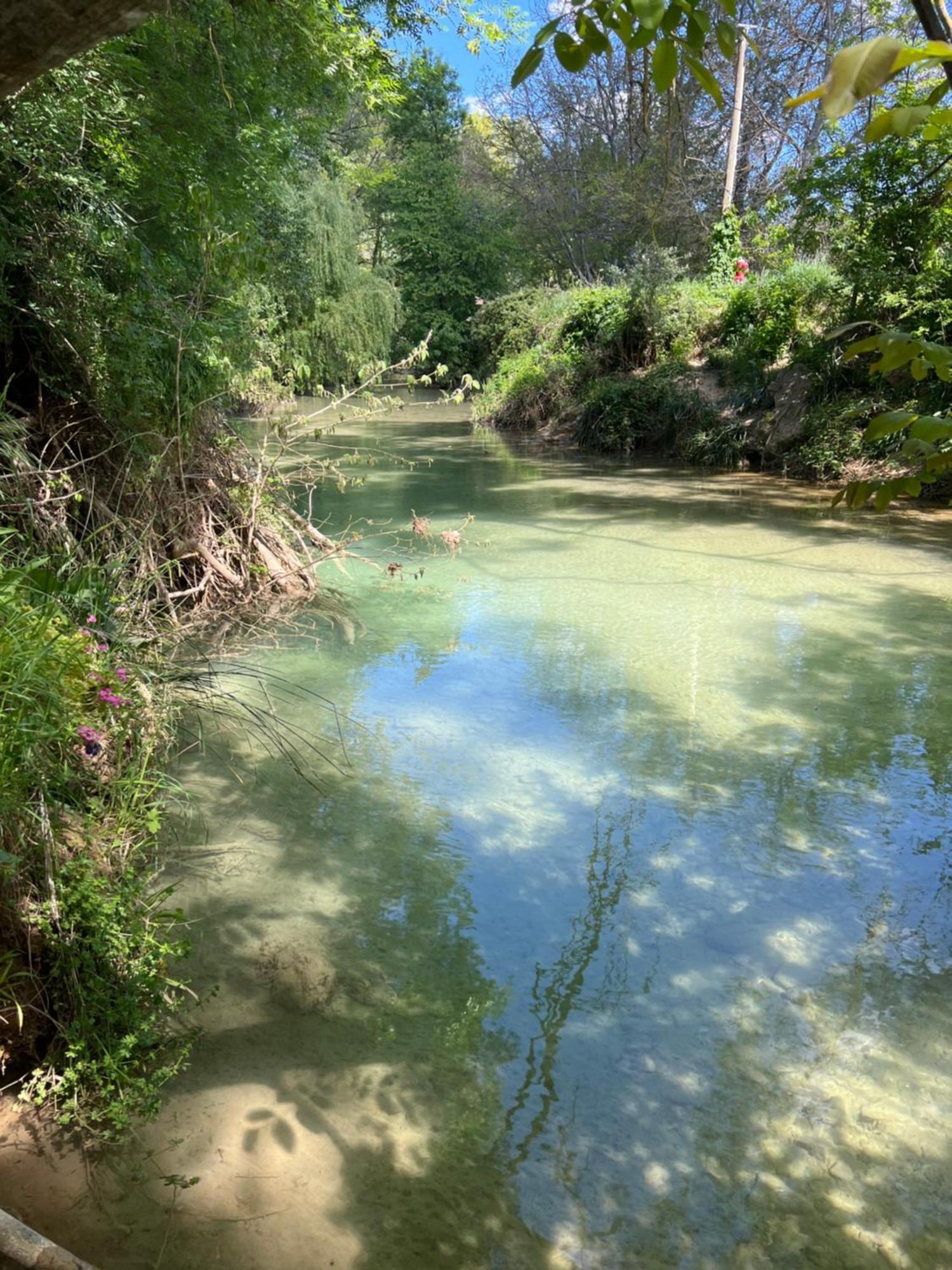 فندق La Belle Riviere ساليرنيس المظهر الخارجي الصورة